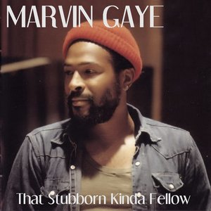 Marvin Gaye: That Stubborn Kinda Fellow