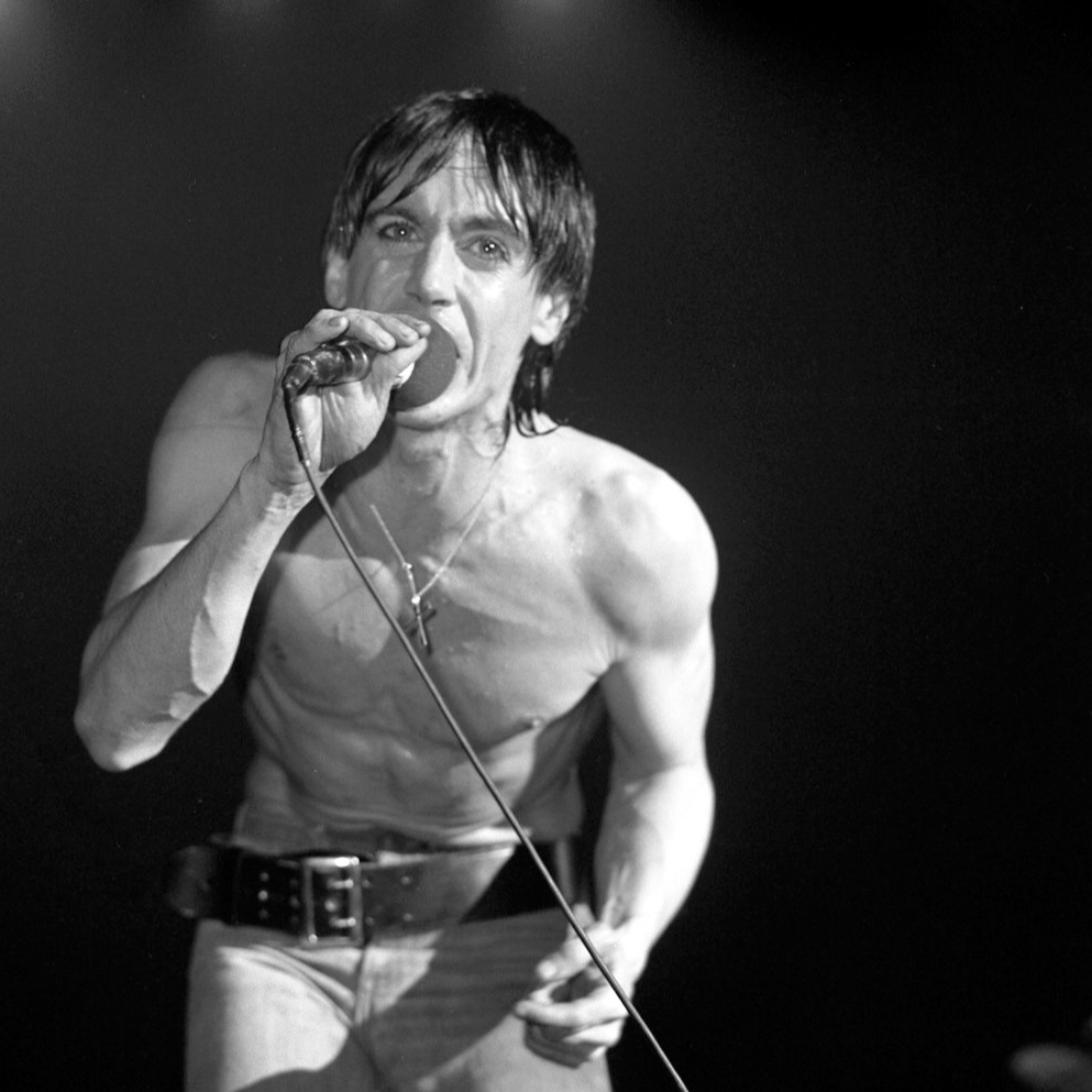 Iggy Pop