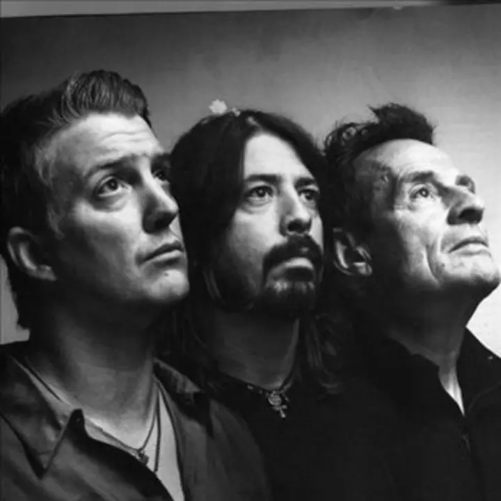 Them crooked vultures